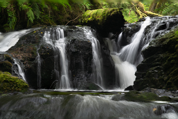 Ludlow Falls No 1