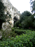 DSCN4393